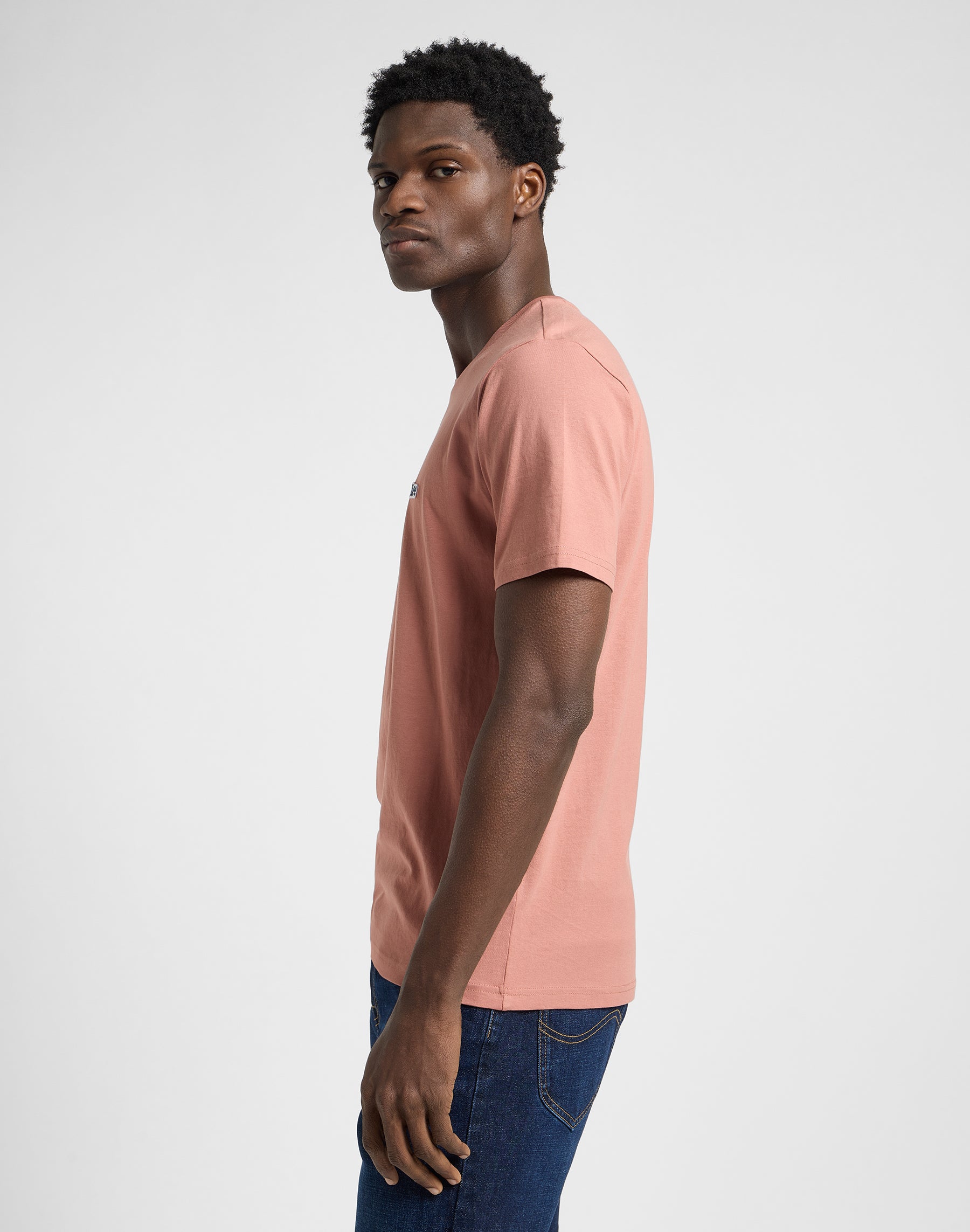 Ss Patch Logo Tee in Sepia T-Shirt Lee