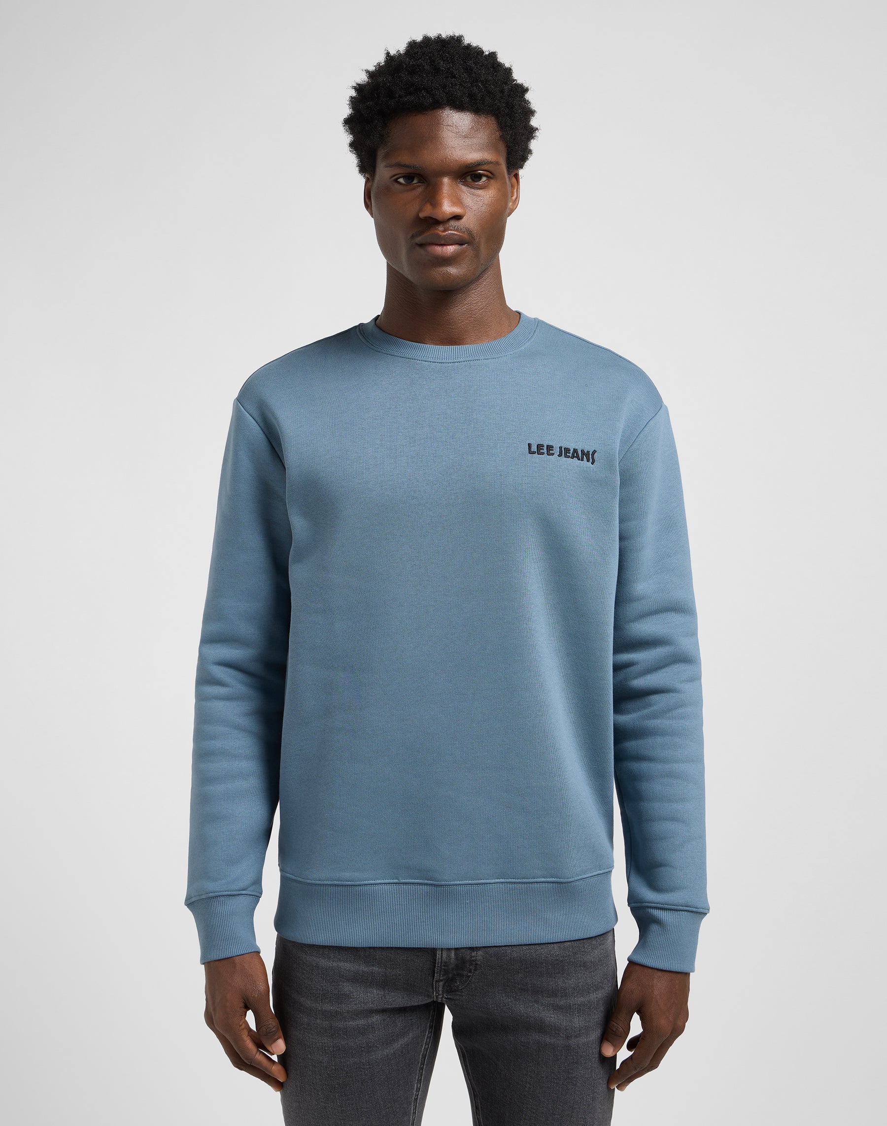 Regular Core Sws in felpe blu vintage Lee