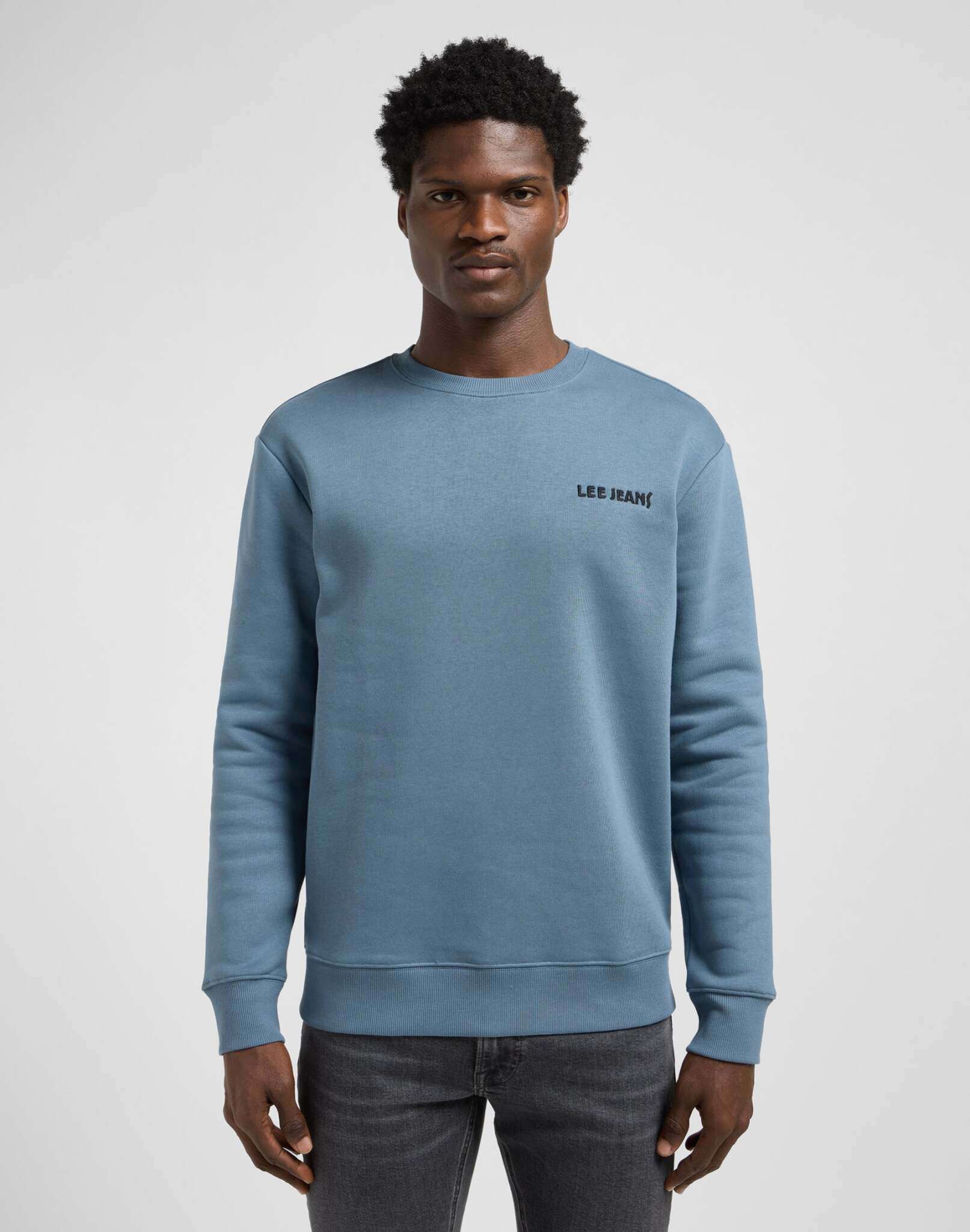 Regular Core Sws in felpe blu vintage Lee