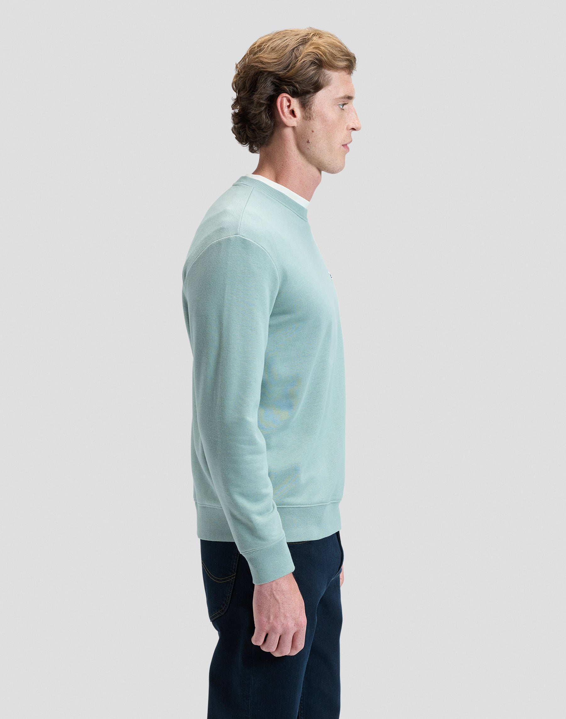 Felpa Patch Crew in Desert Sage