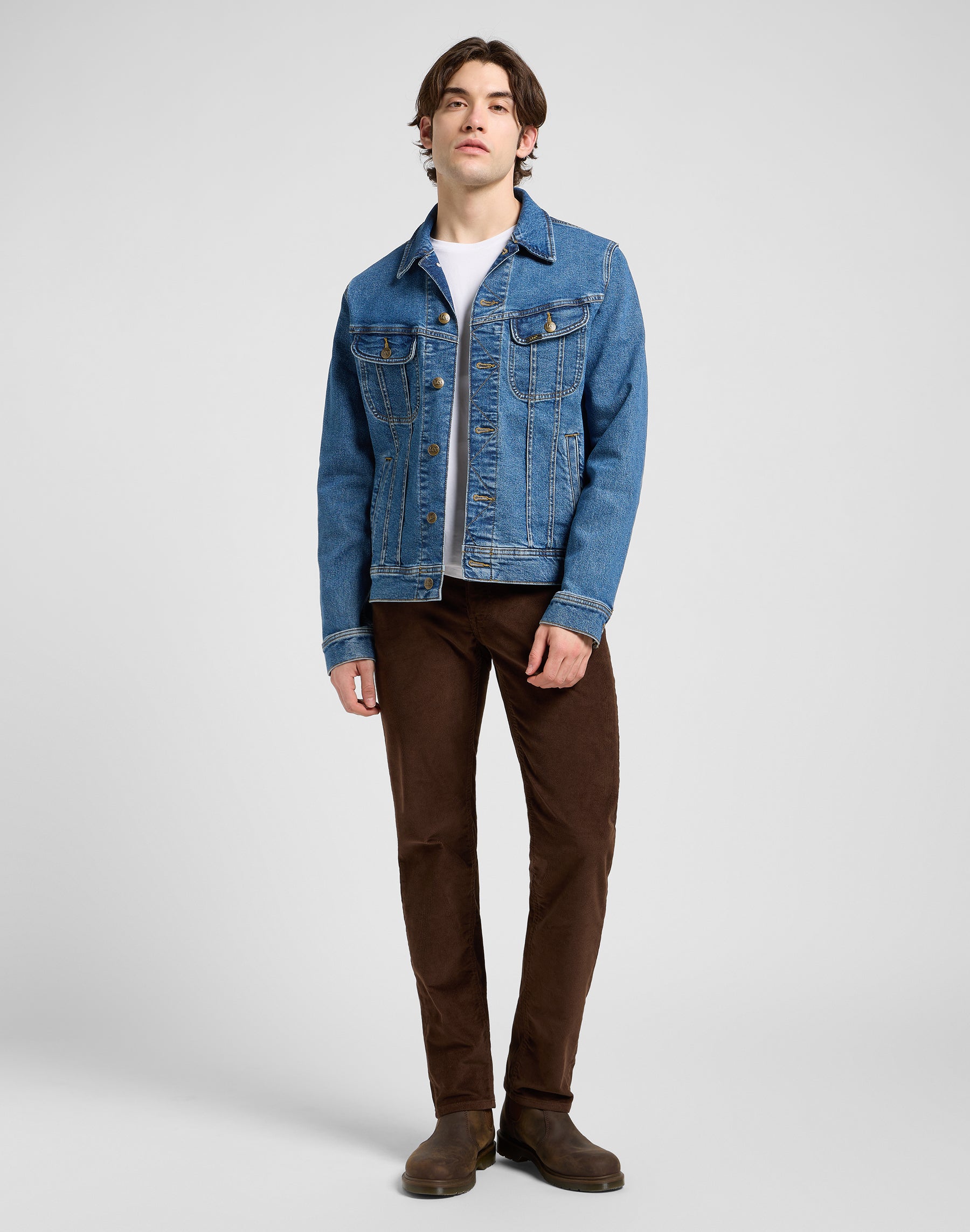 Daren Zip Fly in Arabica Pantaloni Lee