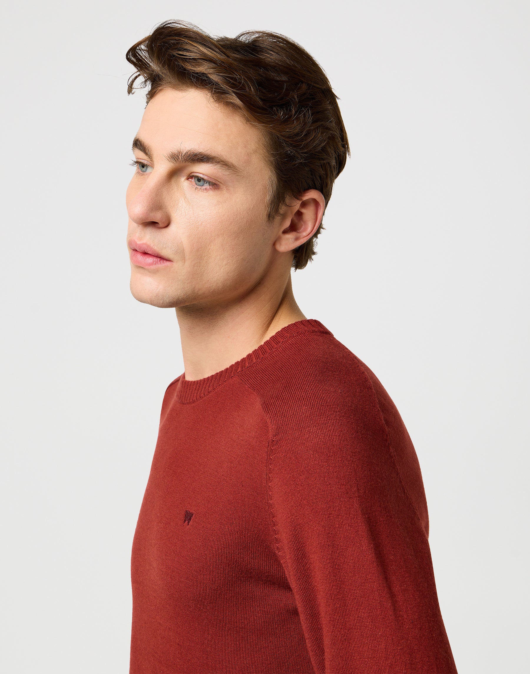 Maglione a maglia in mattone cotto Maglioni Wrangler