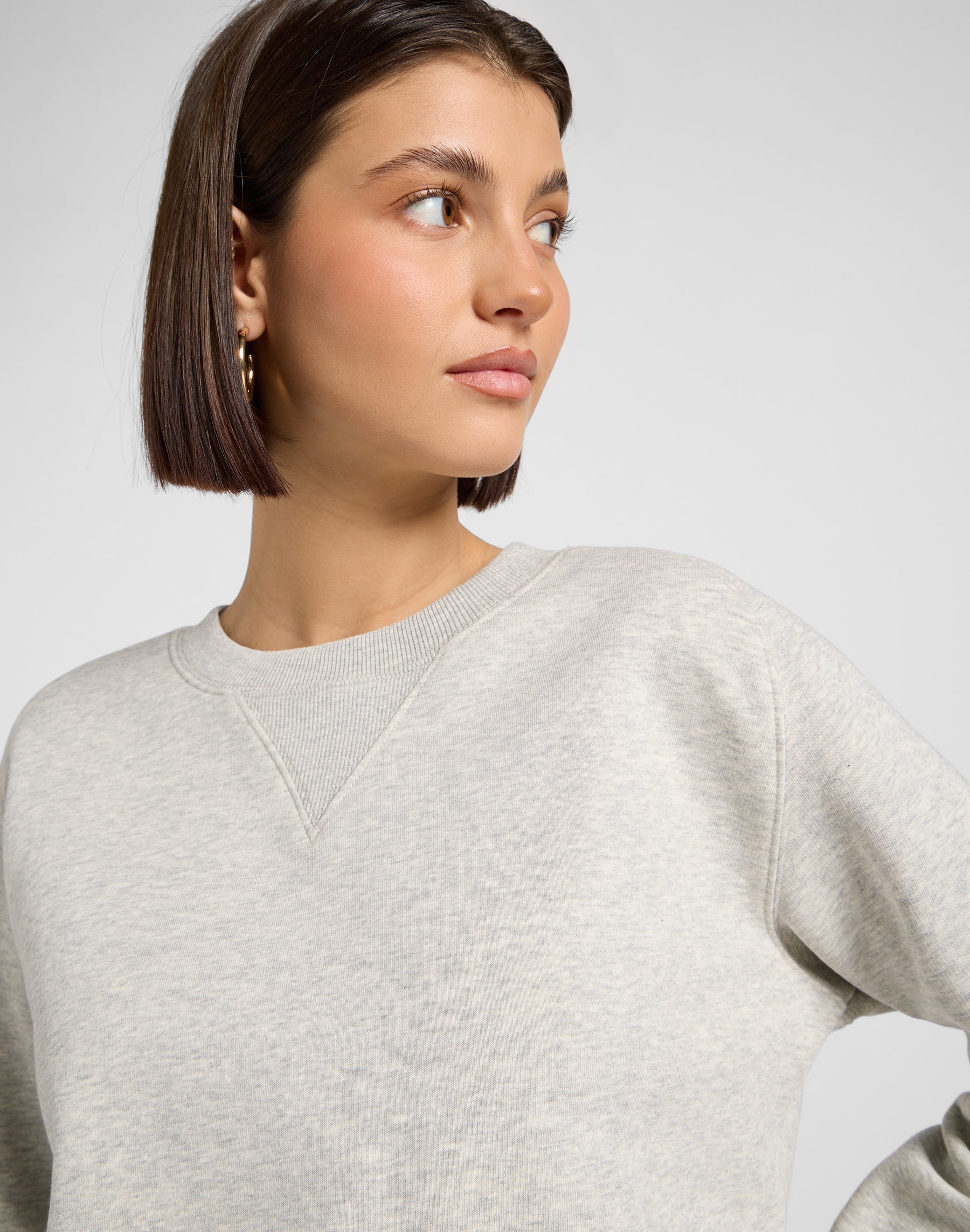 Felpa Raglan Crew Sws in grigio Heather Lee