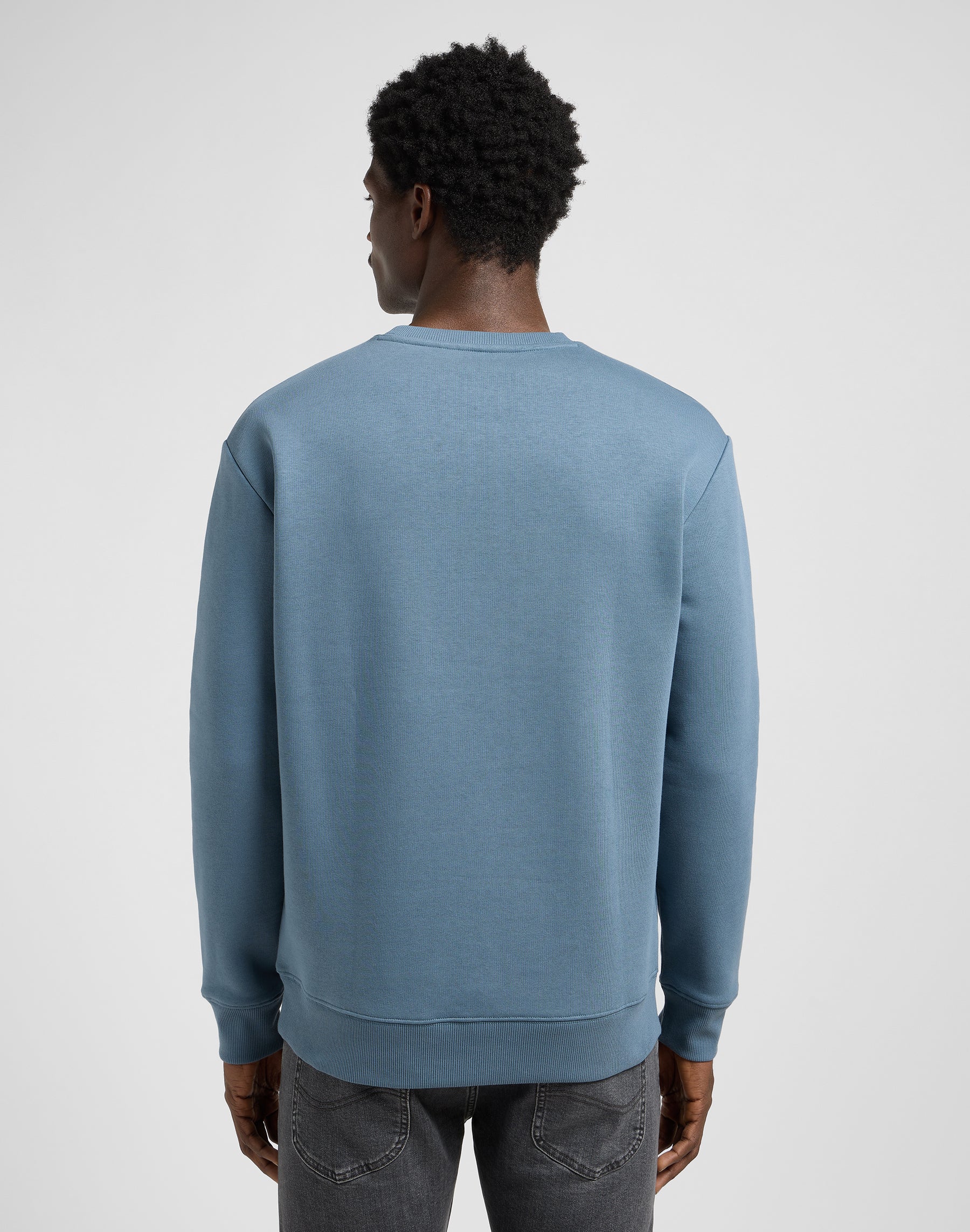 Regular Core Sws in felpe blu vintage Lee